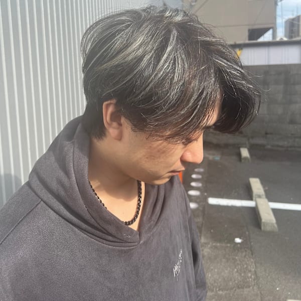 シルバーメッシュ