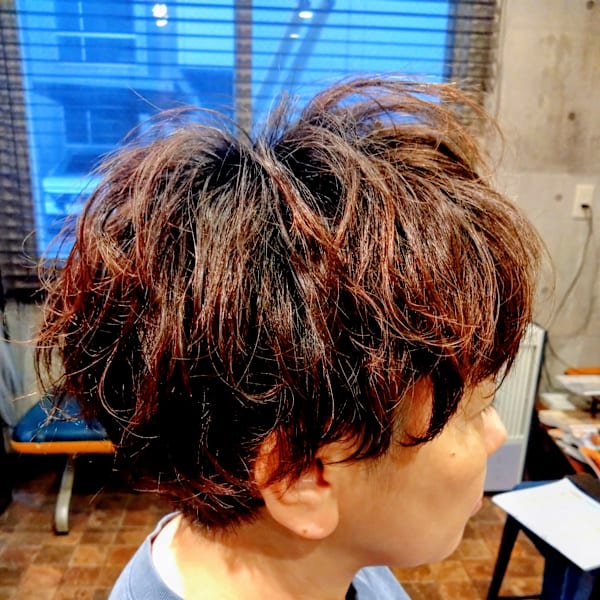 海外　子供のクセ毛風