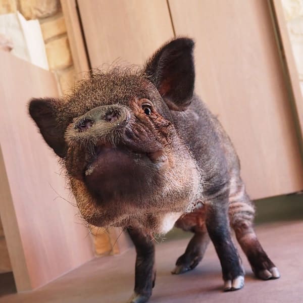 Createur【クレアトゥール】のスタッフ紹介。TUKUNE