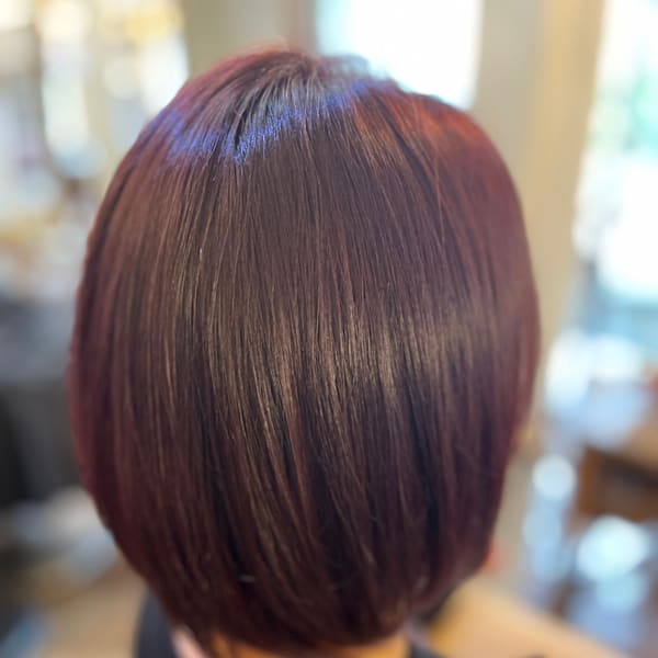 ボルドーカラー|Van family MEGA ドン・キホーテUNY福井店