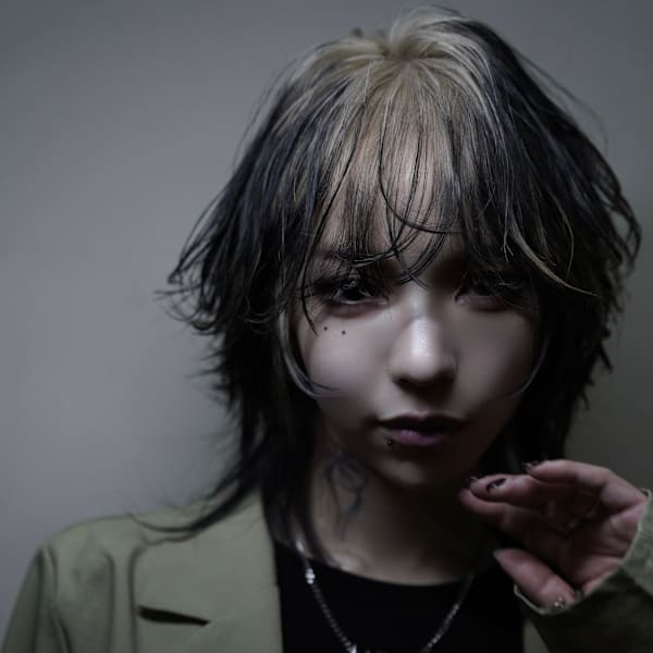 デザインカラーウルフ|syn