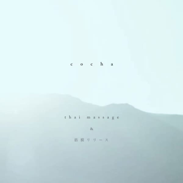 cocha【コチャ】のスタッフ紹介。フルヤ