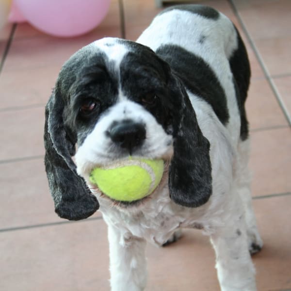 美容室 Atom 髪質改善 艶髪salon【ビヨウシツアトム】のスタッフ紹介。HIDE