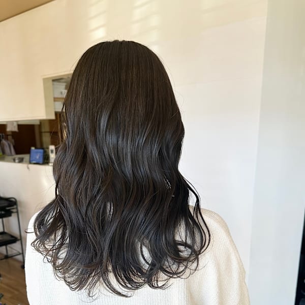 【増田】オリーブグレージュ|PETZ本店