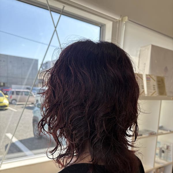 【Hiroデザイン】ウルフパーマ×ボルドールビー|SARA Beauty Sight 九大学研都市店