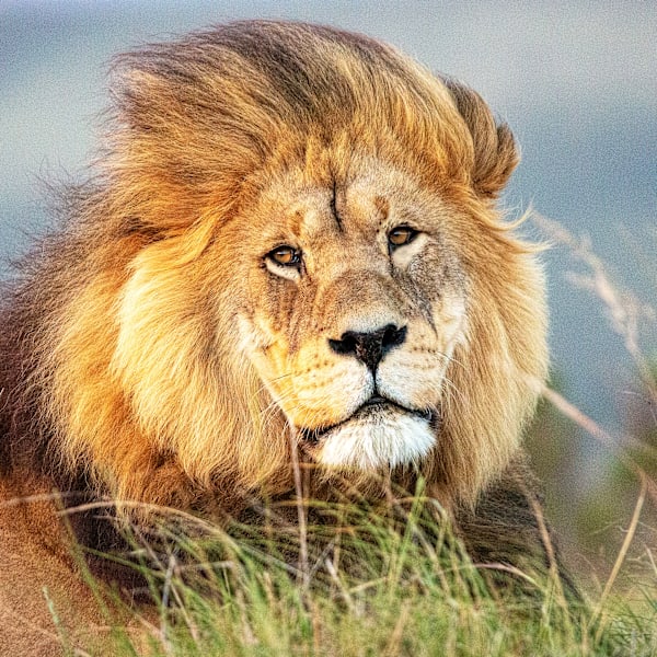 全席個室型美容室 well高崎上大類店【ウェル】【ゼンセキコシツガタビヨウシツ ウェルタカサキカミオオルイテン】のスタッフ紹介。湯浅　泳作