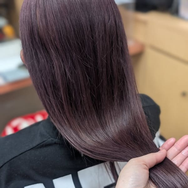 クリスマス仕様の艶めきピンクラベンダー。