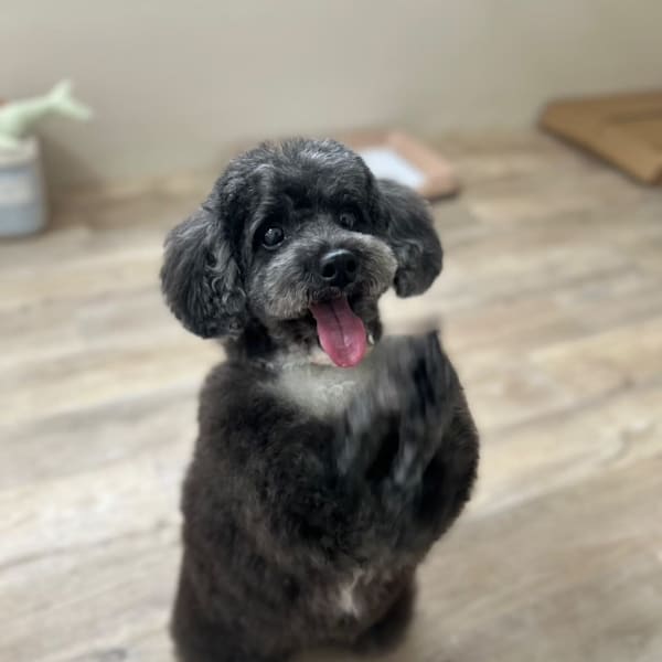 fam.【ファム】のスタッフ紹介。エド