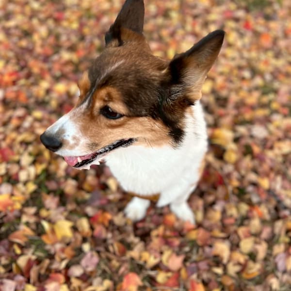 【フェイシャル＆経絡リンパマッサージ専門】エステサロンSTB【フェイシャルアンドケイロリンパマッサージセンモン エステサロンエスティービー】のスタッフ紹介。カン