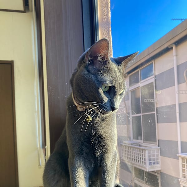 hair+make Success【ヘアメイクサクセス】のスタッフ紹介。ロイド