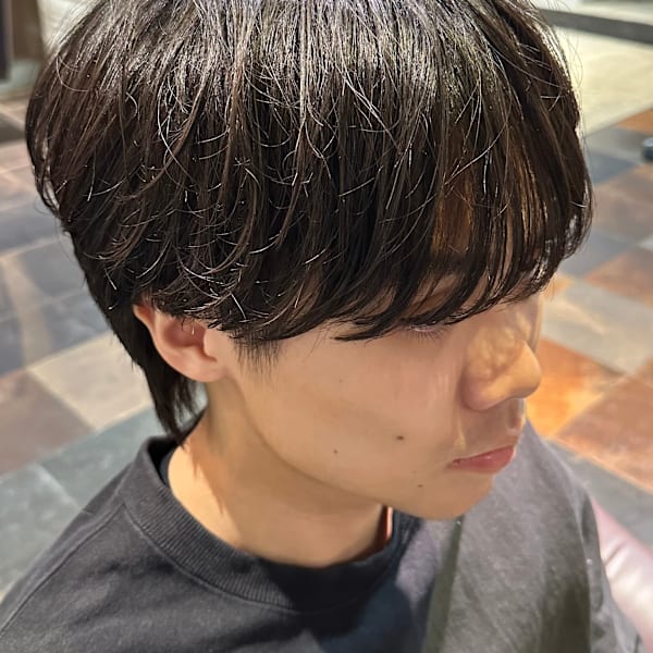 シースルーフェザーマッシュ