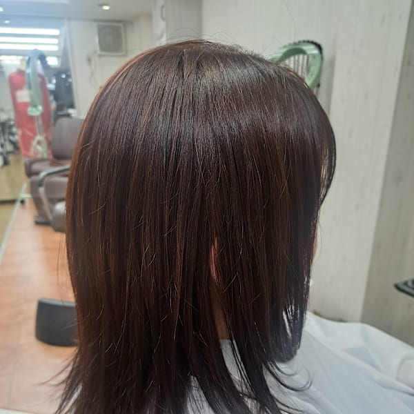 バイオレットブラウン|Amity