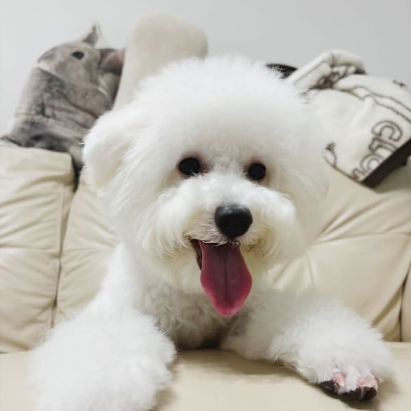 Chere ore 新金岡店【チェレ】【チェレ オレ シンカナオカテン】のスタッフ紹介。ウユ 新金岡