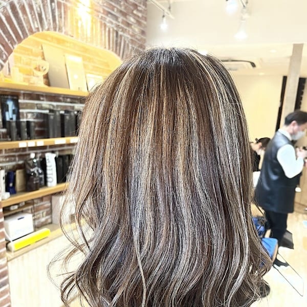 コントラストハイライト/白髪ぼかし/下赤塚|Sepiage sept