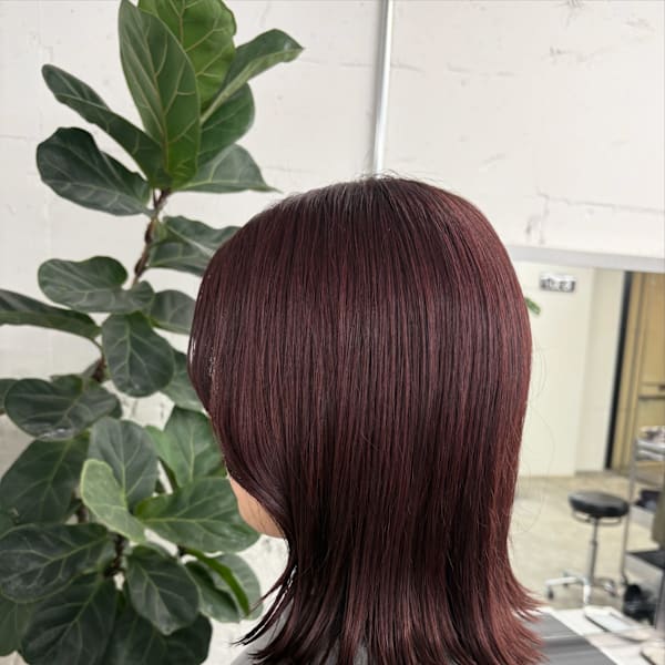 ワインレッド|PLAY