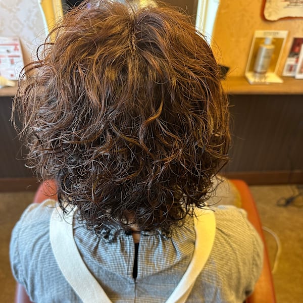 Pixie Bob×スタイル|Pixie Bob