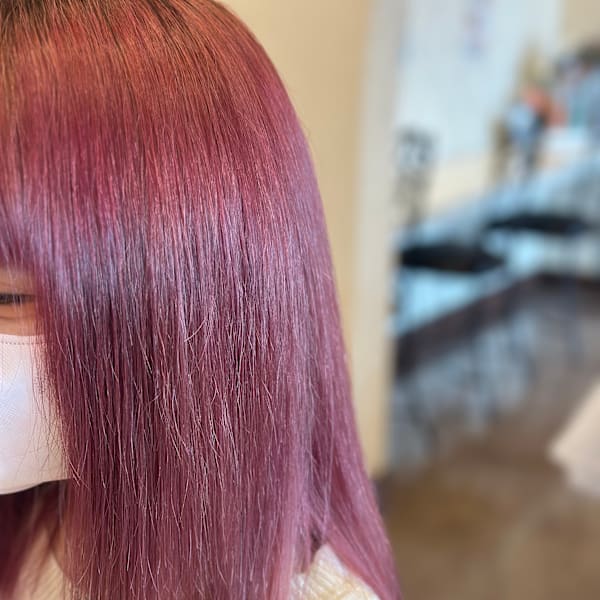 Pixie Bob×スタイル|Pixie Bob