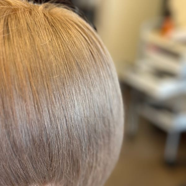 Pixie Bob×スタイル|Pixie Bob