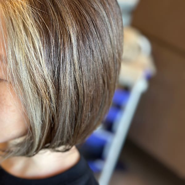 Pixie Bob×スタイル|Pixie Bob