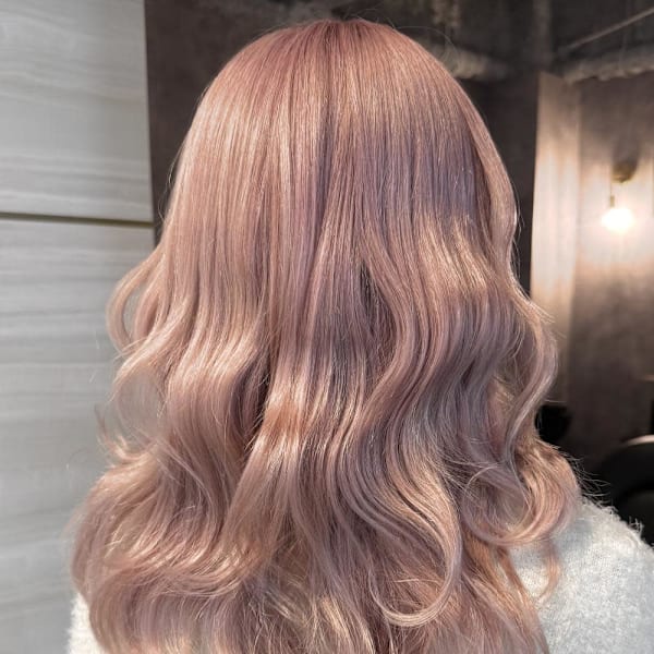 《巴結生》ホワイトピンク/ペールピンク/ハイトーン