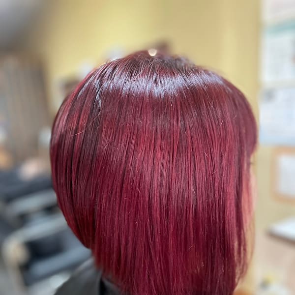 ピンクパープルボブ|Papillon Rose