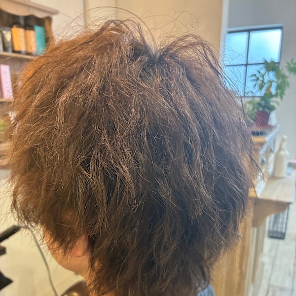 Carel×スタイル