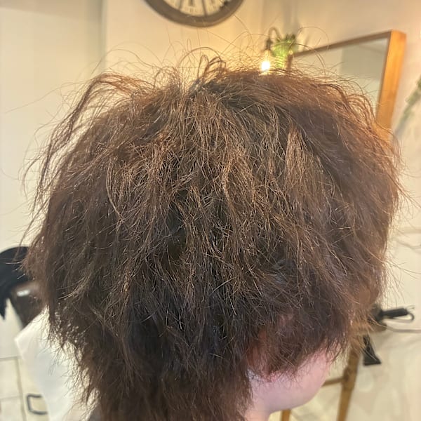 Carel×スタイル