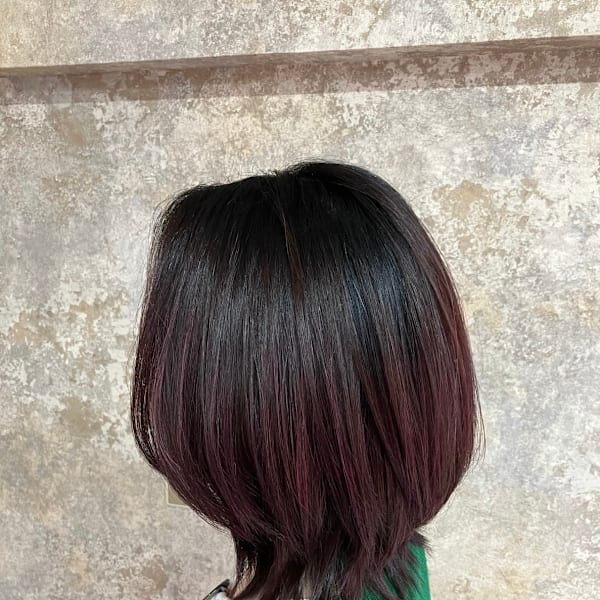 S'レイヤー(ボブレイヤー、ウルフ)