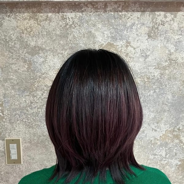 S'レイヤー(ボブレイヤー、ウルフ)