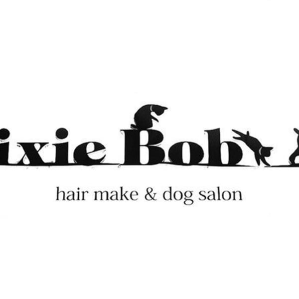 嶋崎 愛美|Pixie Bob