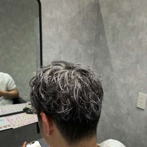 シルバーメッシュ