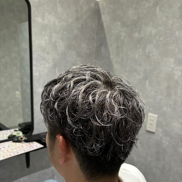 シルバーメッシュ