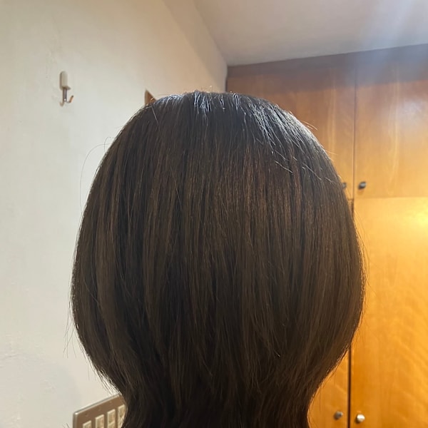 S'レイヤー（ウルフ）