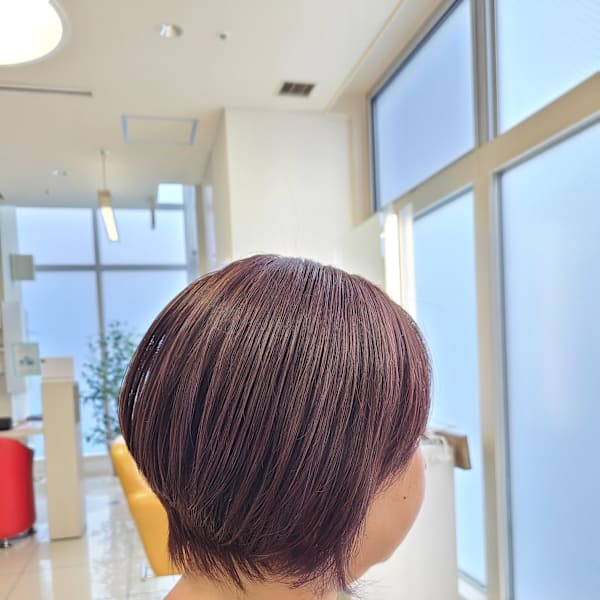 秋香るほんのりパープルカラー