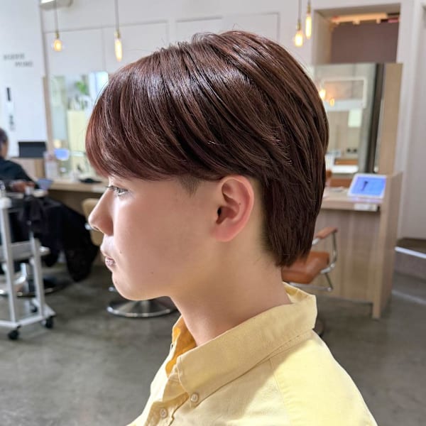 シースルーマッシュ 森