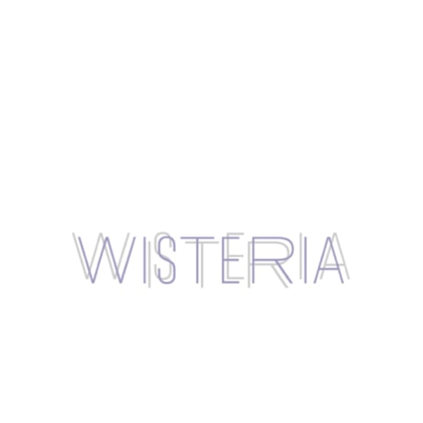 安藤　万輝|WISTERIA 銀座 【ウィステリア】