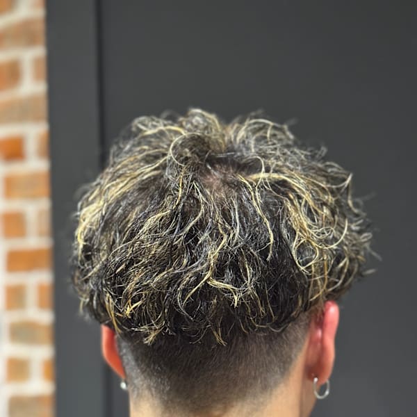 ツイスパメッシュ