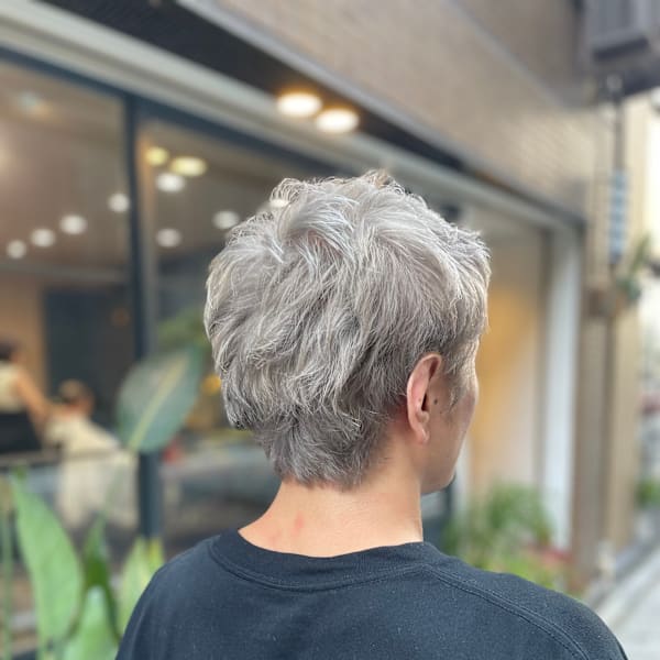 シルバーグレージュ（ダブルカラー）