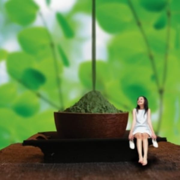 【業界最高級】１００％植物性ヘナ|hair OTOGi