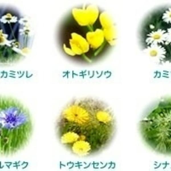 香草カラー取扱い店です。香草カラーとは漢方からできたヘアカラーです。|meets