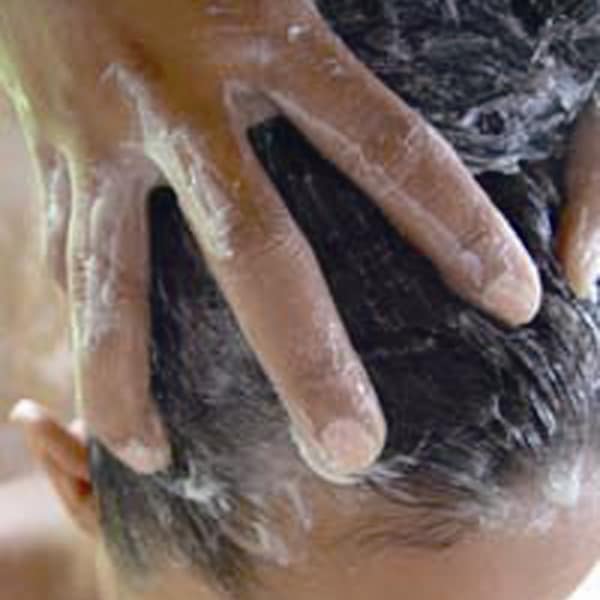 きれいな髪は健康な頭皮から・・・　　プライベートな癒し空間でおまちしております|HAIR SALON appears