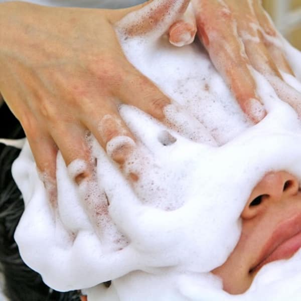 ラテスパ♪|Growthの森