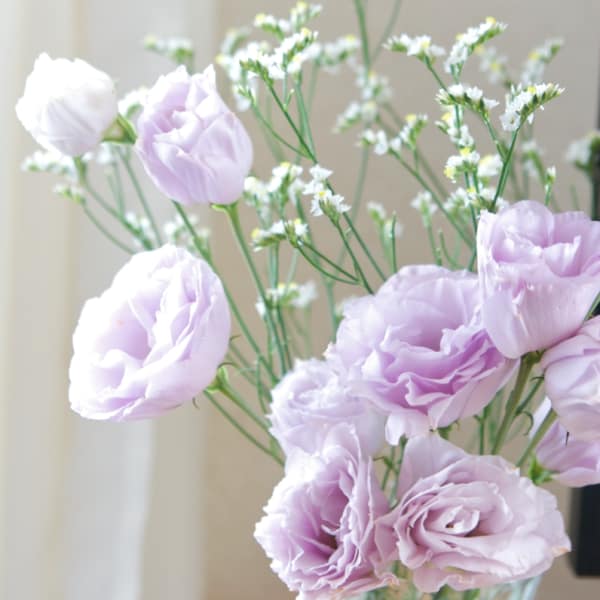 【衛生管理士やメイクセラピーガイド等"美"に関する資格を多数取得しているスタッフの施術で安心◆】|Nail Salon Shandi