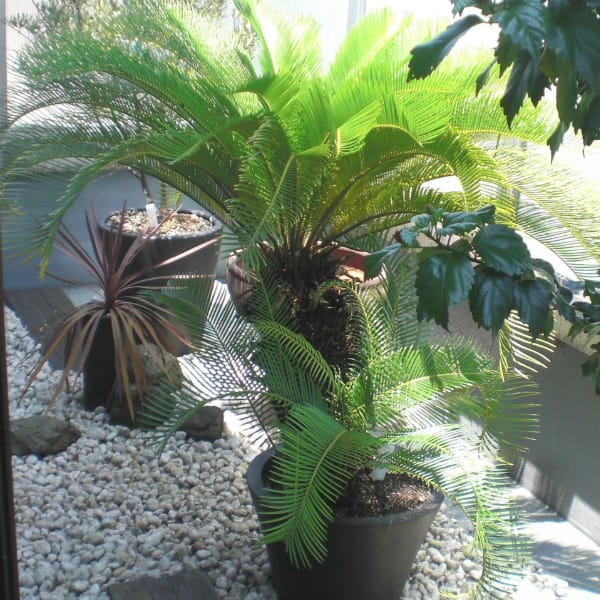 【脱毛】まずは、しっかりとカウンセリングを受け納得のいく効果を提供させていただきます★|Royal Therapist 袋町店