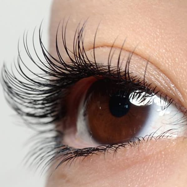 都内に４店舗展開している有名まつげエクステサロン・Venus Lash|ヴィーナスラッシュ 新宿店