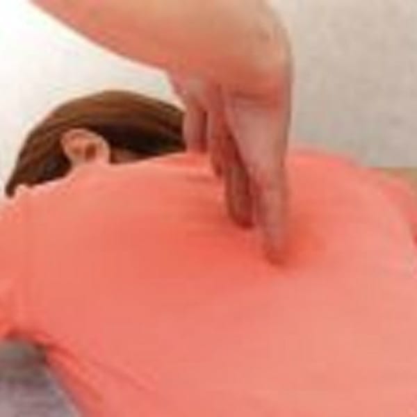 短期間で健康と瘦身の2つを手に入れる経絡内臓強化ダイエット 1ヶ月5kg減量可!|中医学経絡院