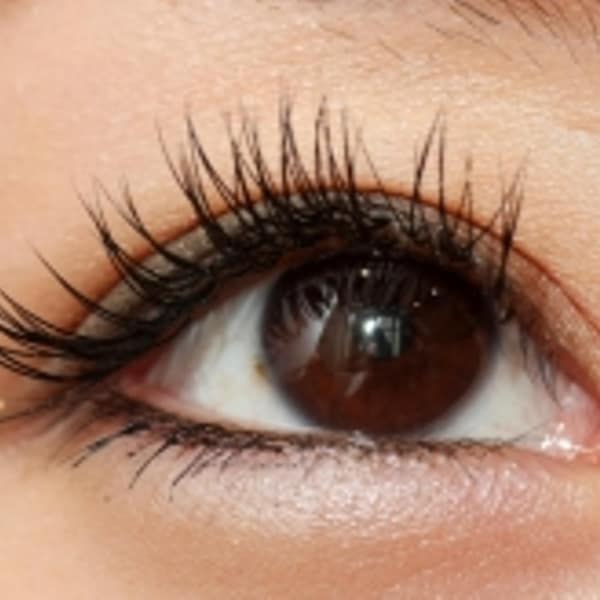 【ボリュームのある目元にしたい！】しっかり上つけ放題 ￥3,240|Largo