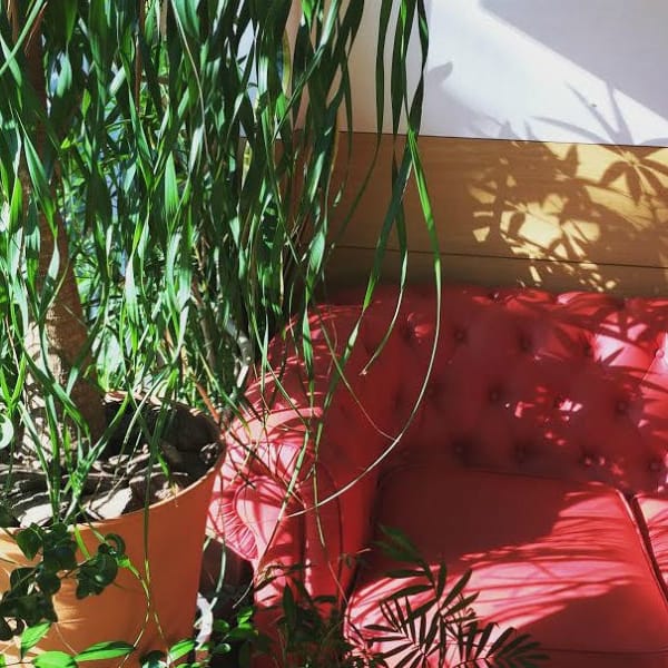 マツエク＆エステ＆マッサージが出来るトータルビューティーサロン♪ |aggraziata sosta ソスタ