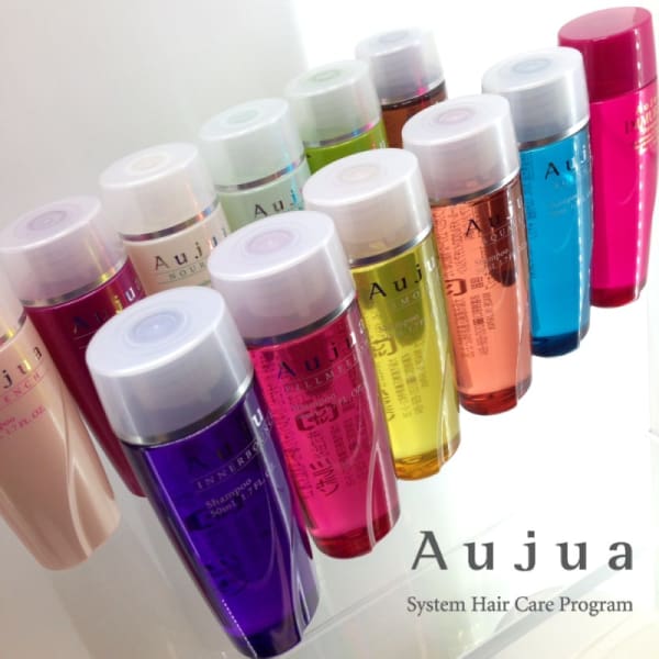 厳選サロンのみ取り扱い可能オージュアトリートメント【オーダーメイドケアトリートメント】|alpina 上小塙店