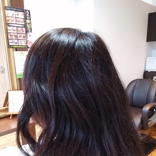 世界初のハサミ１本で行う超特殊技術『カットⓇ』|くせ毛専門美容室ヘアエステ ウィルミナ